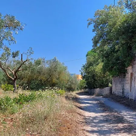 Paradiso - Tra Ulivi E Tramonti Da Cartolina * Muro Leccese