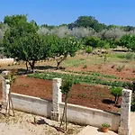 Paradiso - Tra Ulivi E Tramonti Da Cartolina Apartman