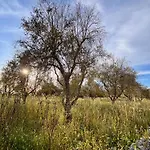 Apartament Paradiso - Tra Ulivi E Tramonti Da Cartolina