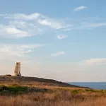 Paradiso - Tra Ulivi E Tramonti Da Cartolina