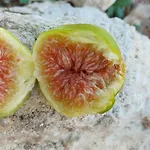 Paradiso - Tra Ulivi E Tramonti Da Cartolina Apartman