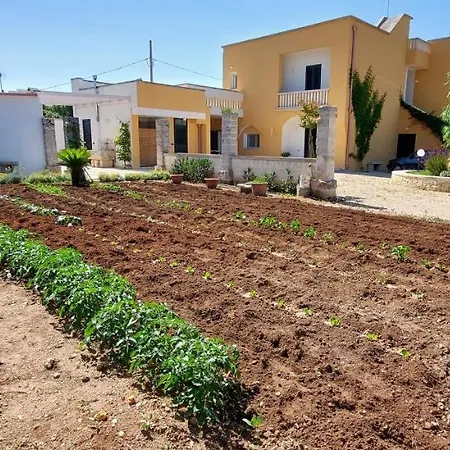 Paradiso - Tra Ulivi E Tramonti Da Cartolina Appartement *