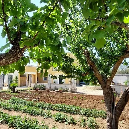 Paradiso - Tra Ulivi E Tramonti Da Cartolina Appartement