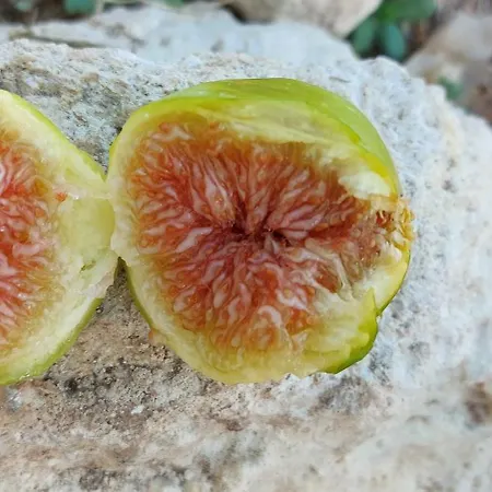 Paradiso - Tra Ulivi E Tramonti Da Cartolina 公寓