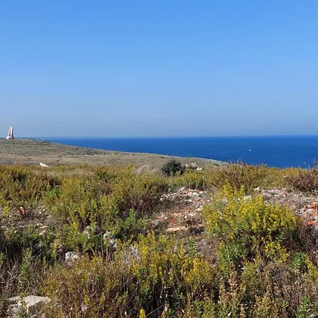 Paradiso - Tra Ulivi E Tramonti Da Cartolina *