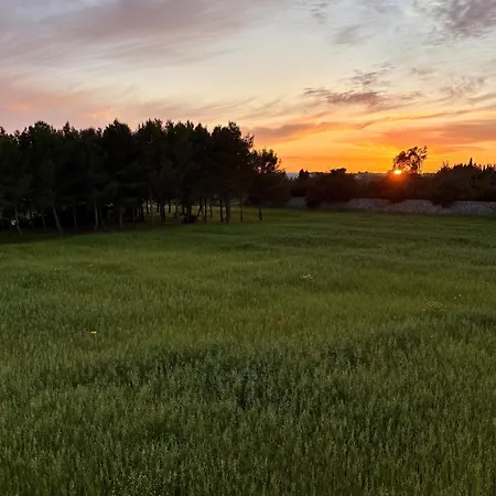 Paradiso - Tra Ulivi E Tramonti Da Cartolina 公寓