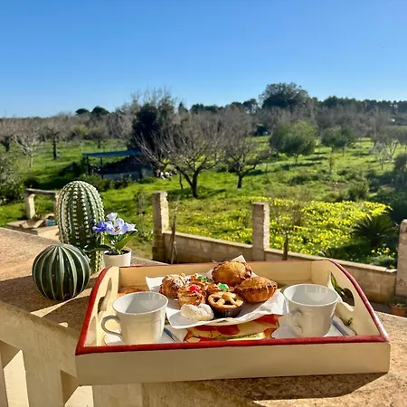 Paradiso - Tra Ulivi E Tramonti Da Cartolina * 穆罗莱切塞