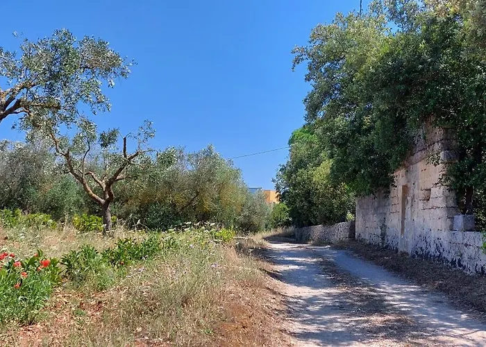 Paradiso - Tra Ulivi E Tramonti Da Cartolina * Muro Leccese